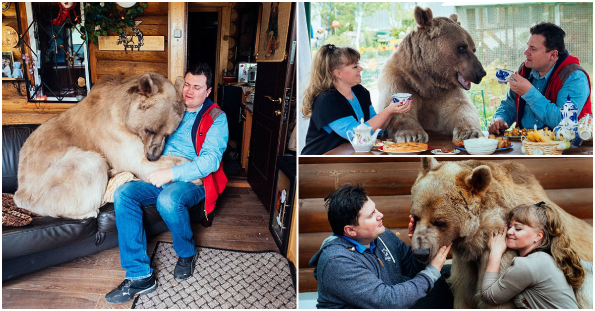 Russian Couple Still Resides Together 23 Years After Adopting Orphaned Bear